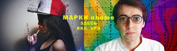 прущие грибы Иннополис