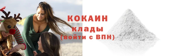 прущие грибы Иннополис