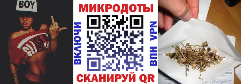 Псилоцибиновые грибы GOLDEN TEACHER  Купить  Лабинск 